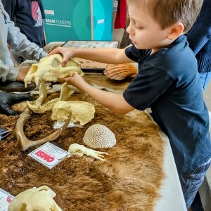 Fundraising Page: Linda Seeley